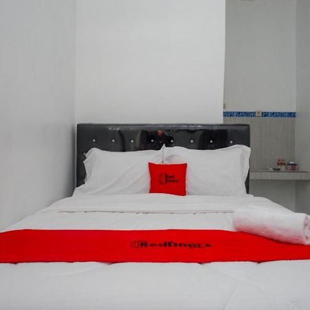 Reddoorz Near Universitas Semarang 2 Alastuwo Екстер'єр фото